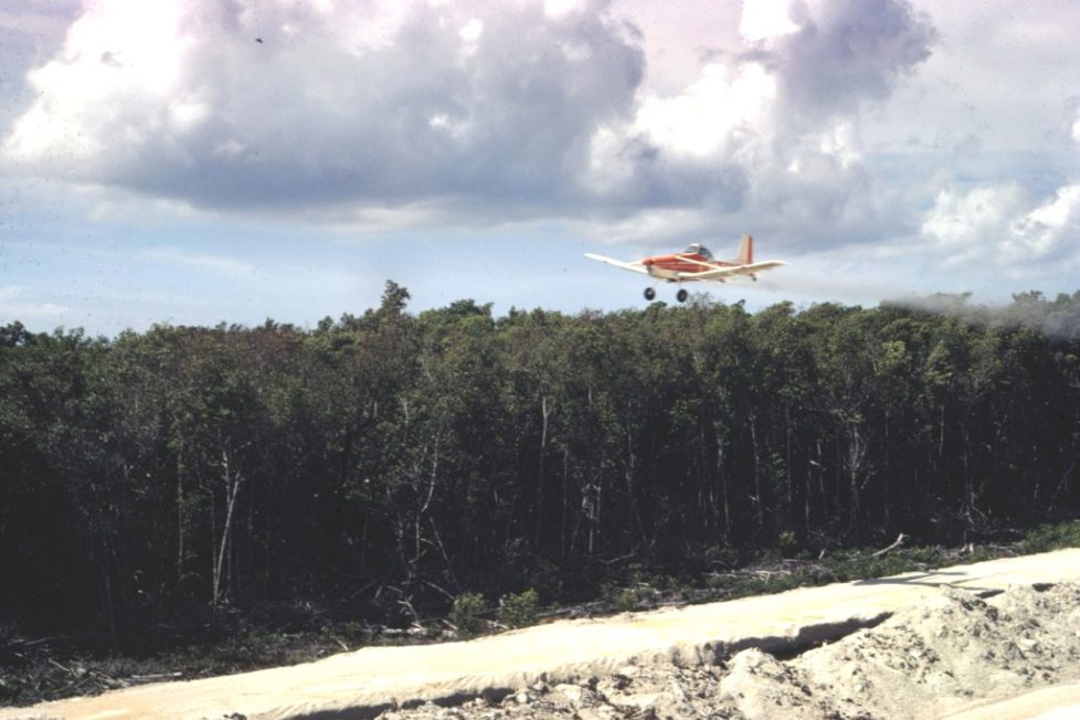 Cessna-in-mangrove-1 (2)