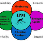 Integrated Pest Management