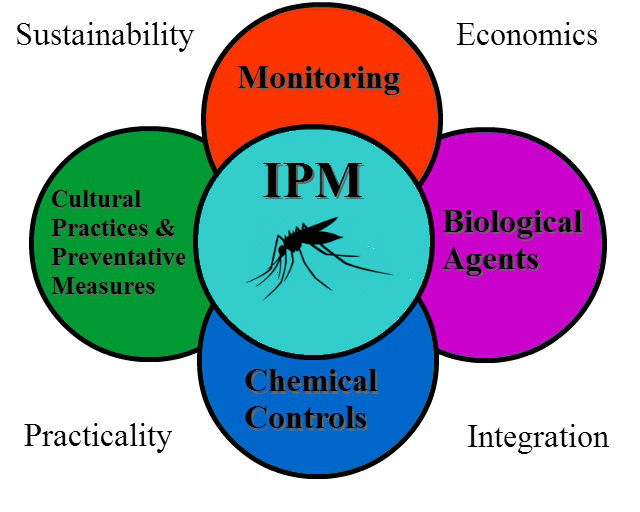 ipm overview
